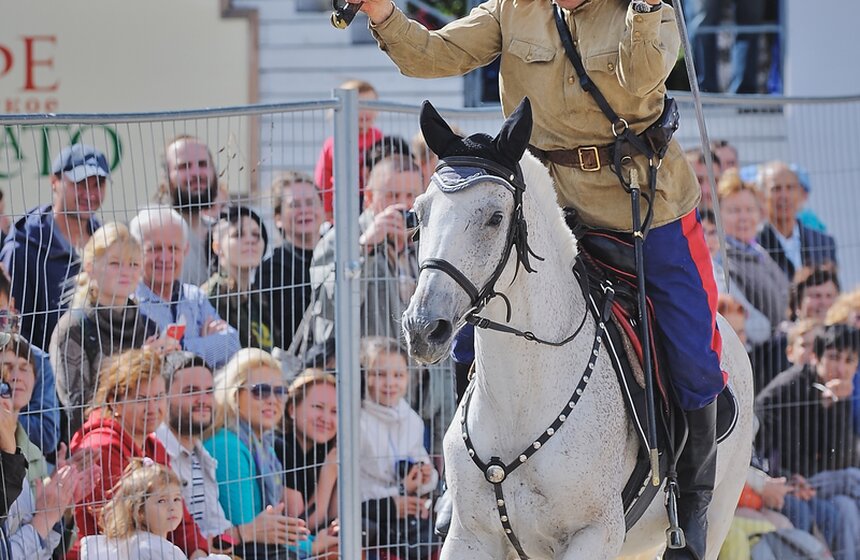В "Сокольниках" прошел фестиваль "Россия на коне" 20 фото