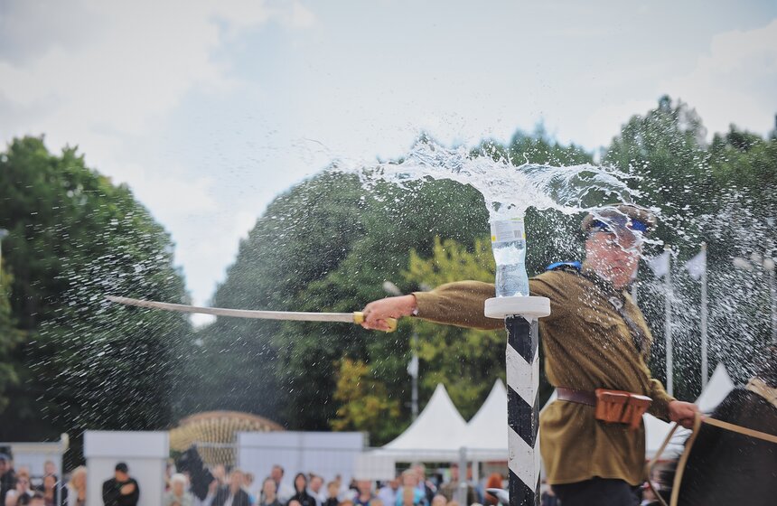 В "Сокольниках" прошел фестиваль "Россия на коне" 22 фото