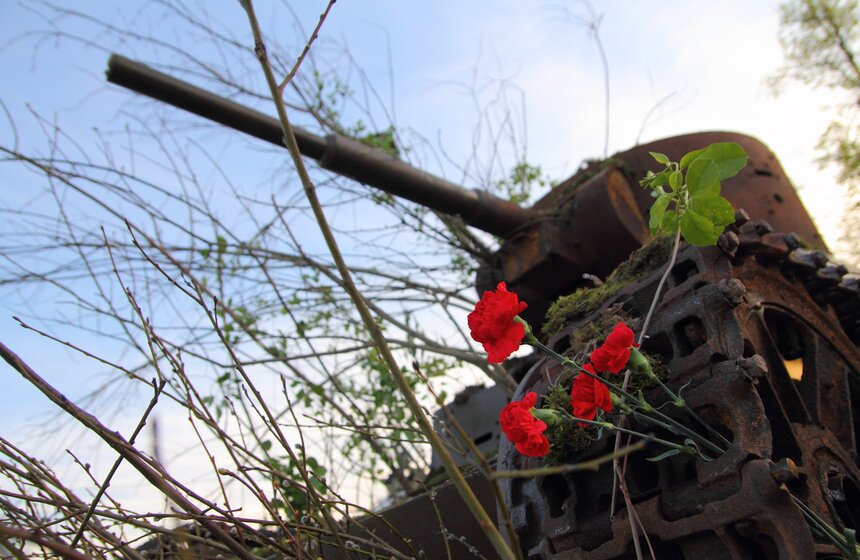 Конное шоу в парке Победы 20 фото