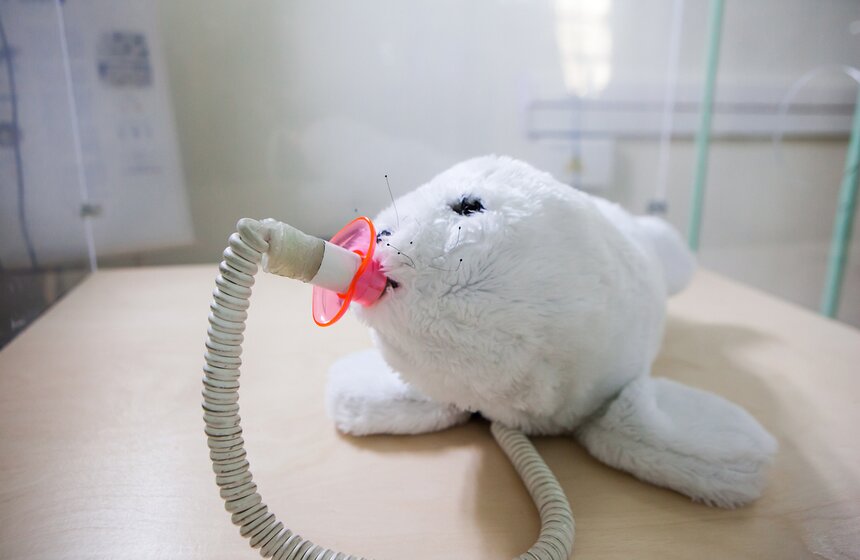 Фото: m24.ru/Лидия Широнина