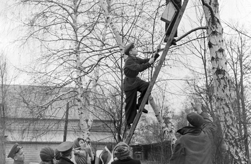 Парк культуры и отдыха "Сокольники", 1956 год. Фото: ТАСС/ Л. Горбачев