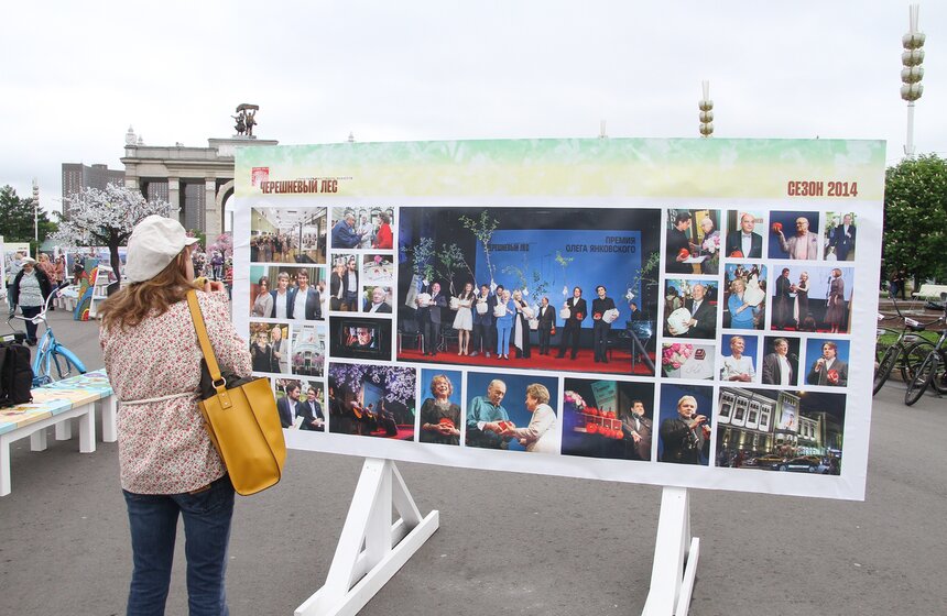 На ВДНХ высадили вишневый сад 6 фото