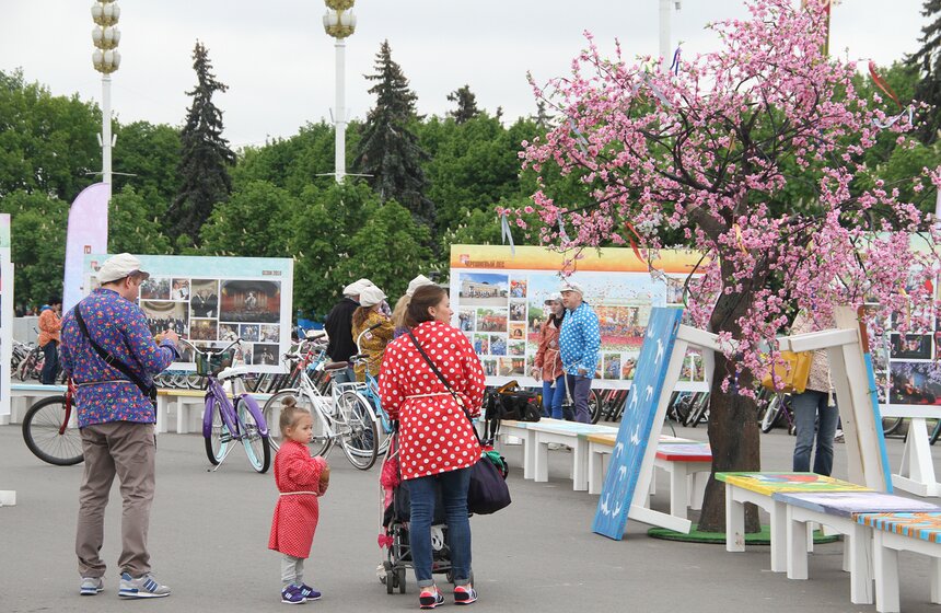На ВДНХ высадили вишневый сад 5 фото
