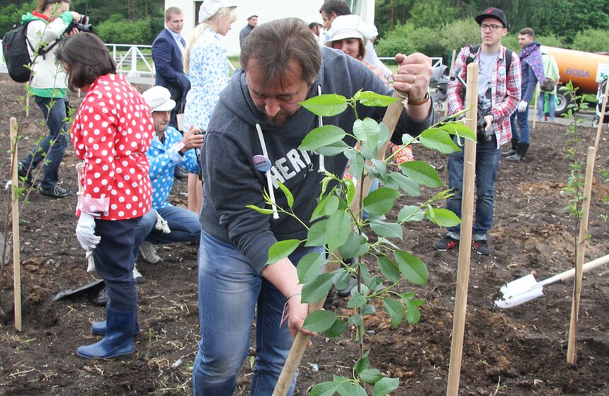 На ВДНХ высадили вишневый сад 28 фото