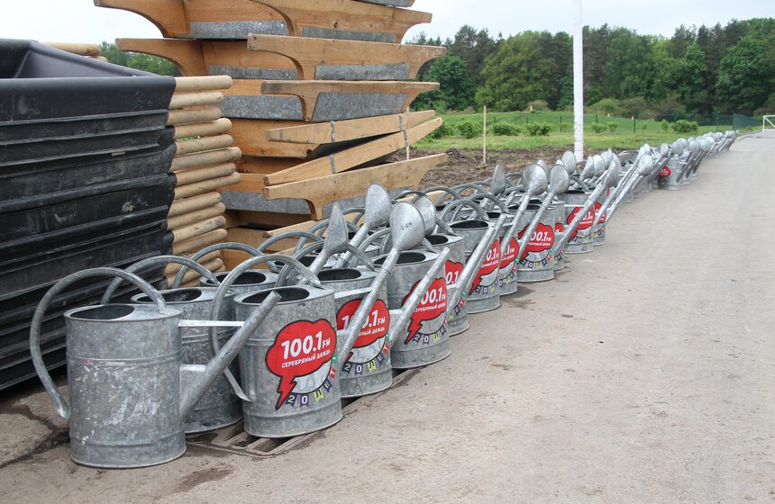 На ВДНХ высадили вишневый сад 10 фото