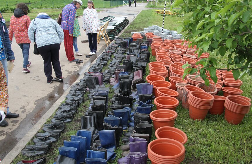 На ВДНХ высадили вишневый сад 12 фото