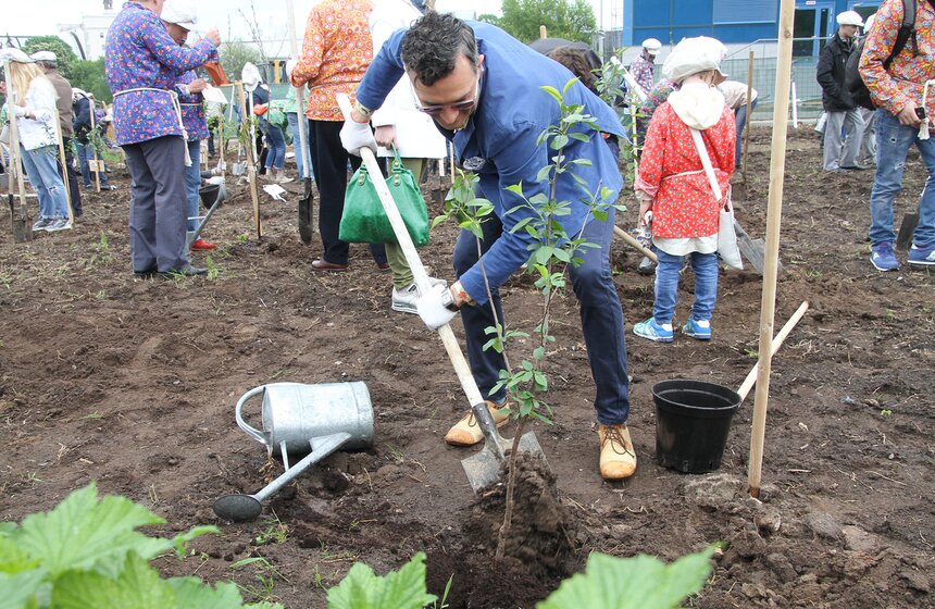 На ВДНХ высадили вишневый сад 26 фото