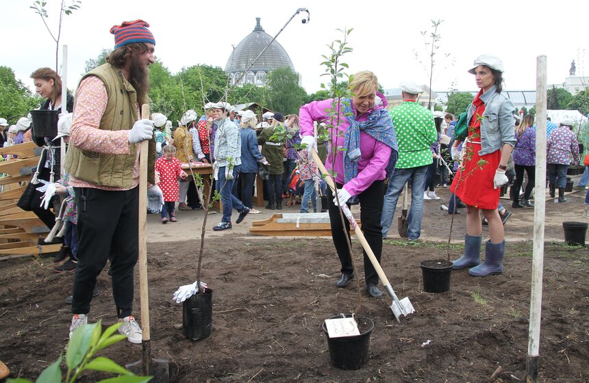 На ВДНХ высадили вишневый сад 20 фото