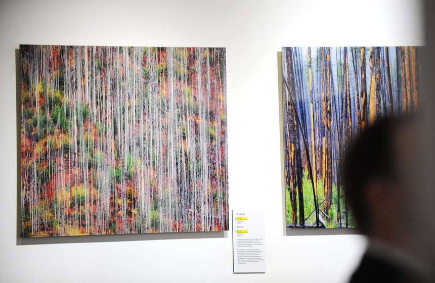 Фотовыставка "На камнях растут деревья" в галерее на Солянке 4 фото