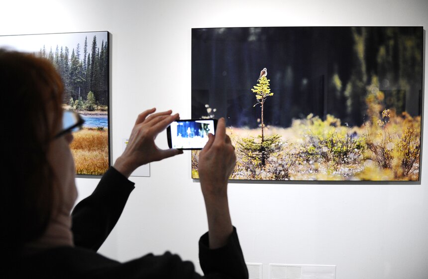 Фотовыставка "На камнях растут деревья" в галерее на Солянке 10 фото