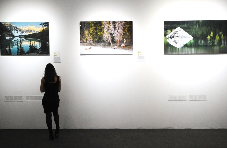 Фотовыставка "На камнях растут деревья" в галерее на Солянке 16 фото