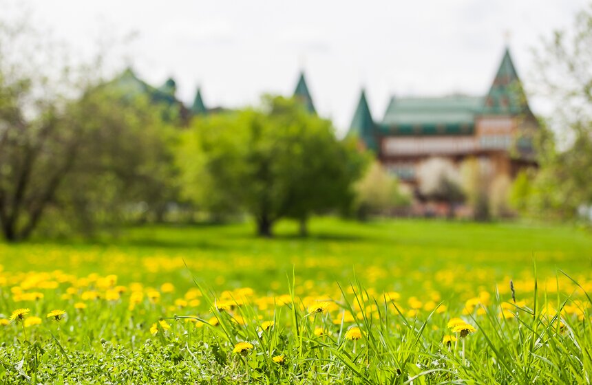 В "Коломенском" зацвели яблоневые сады 10 фото