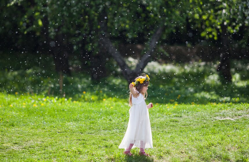 В "Коломенском" зацвели яблоневые сады 19 фото