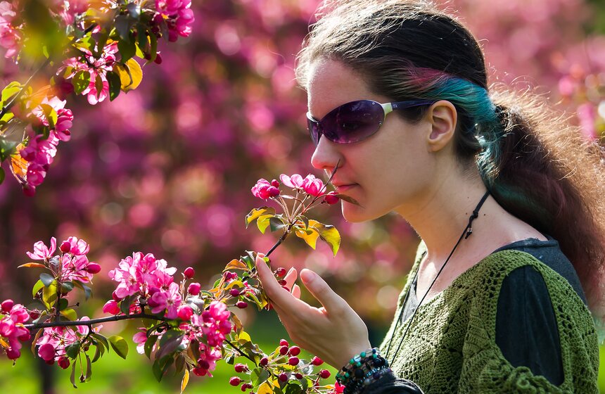 В "Коломенском" зацвели яблоневые сады 21 фото