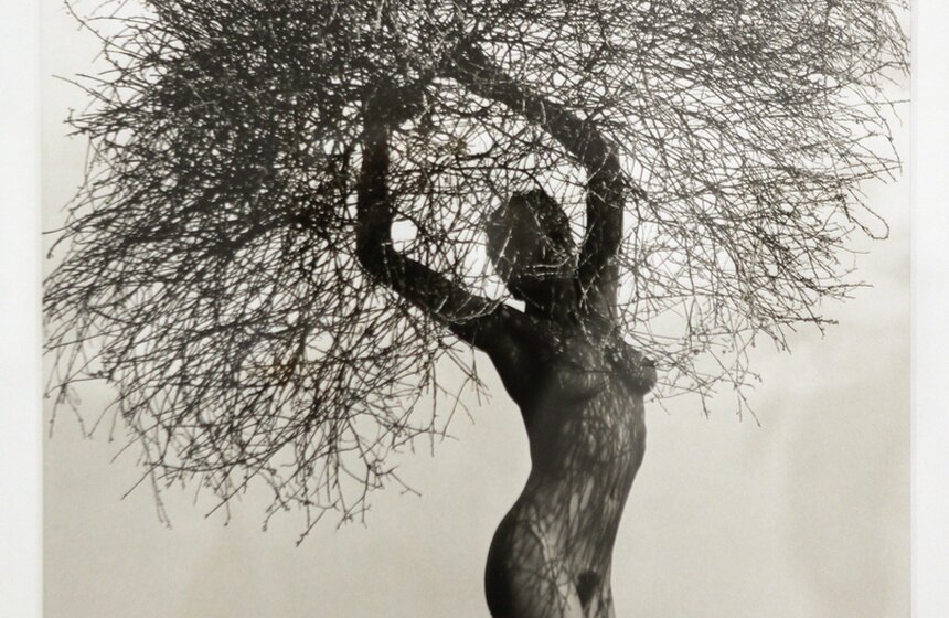 Открытие выставок Херба Ритца и Роберта Капы в МАММ 16 фото