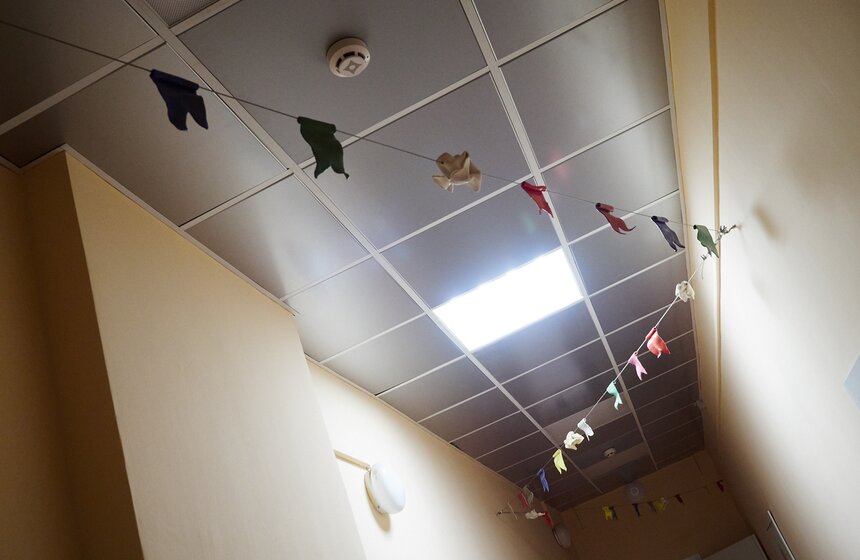 Морозовская детская больница приняла участие в "Ночи в музее" 15 фото