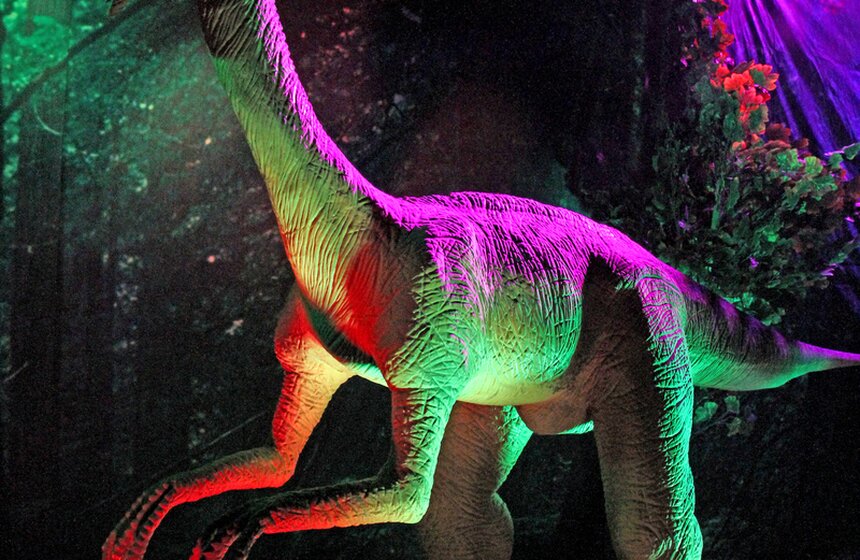 На Лубянке открылся Центральный детский магазин 24 фото