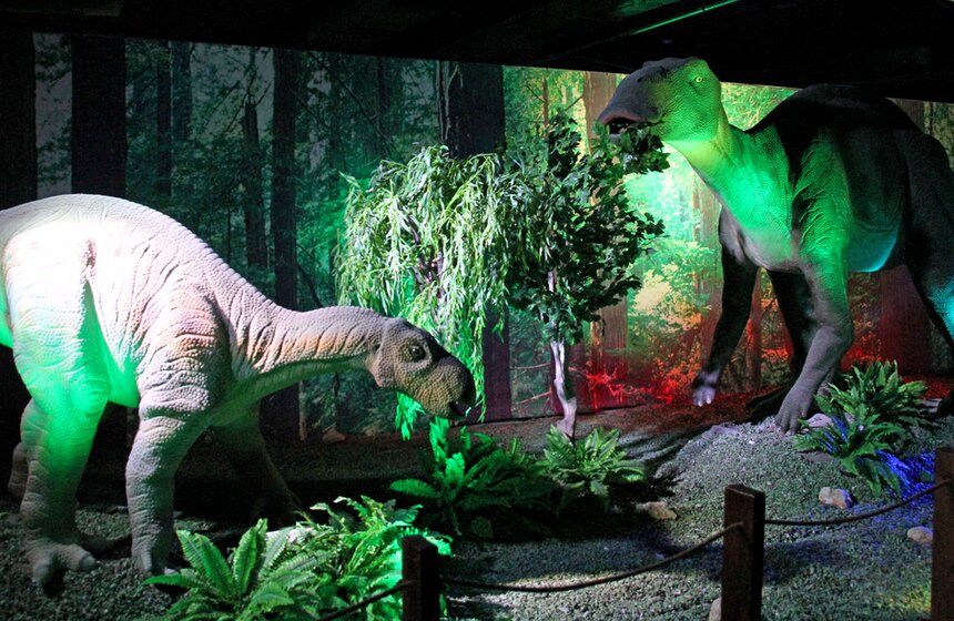 На Лубянке открылся Центральный детский магазин 23 фото