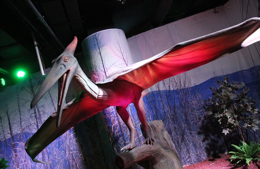 На Лубянке открылся Центральный детский магазин 27 фото