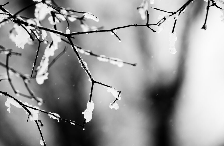 Природные сюрпризы: в апреле в столицу вернулась зима 3 фото