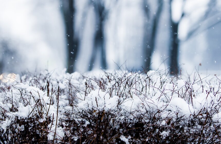 Природные сюрпризы: в апреле в столицу вернулась зима 8 фото