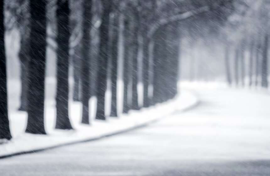 Природные сюрпризы: в апреле в столицу вернулась зима 14 фото