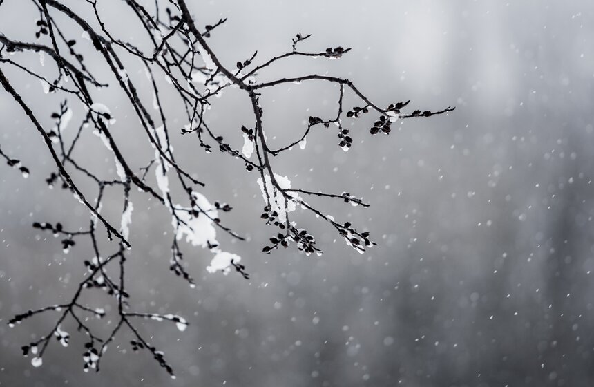 Природные сюрпризы: в апреле в столицу вернулась зима 13 фото