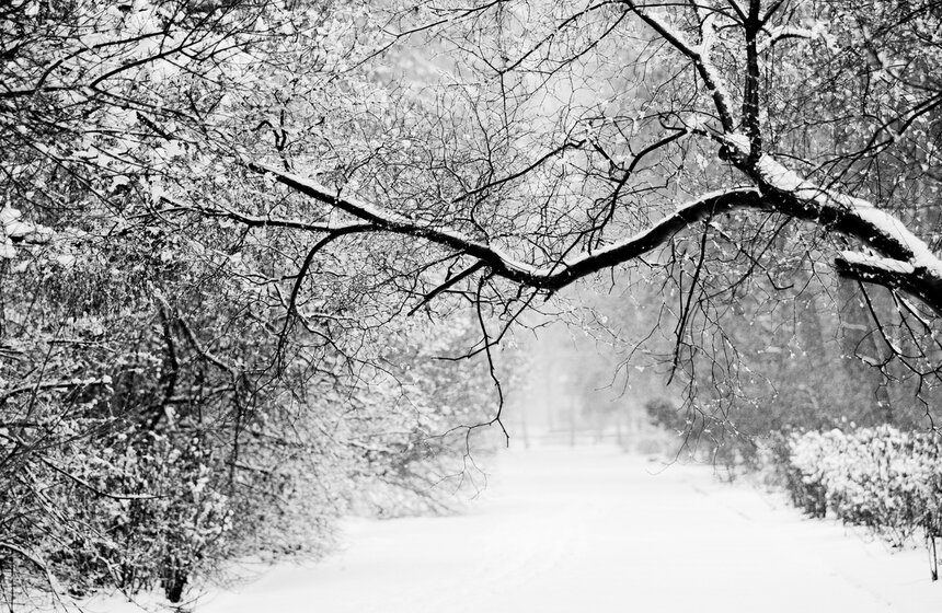 Природные сюрпризы: в апреле в столицу вернулась зима 2 фото