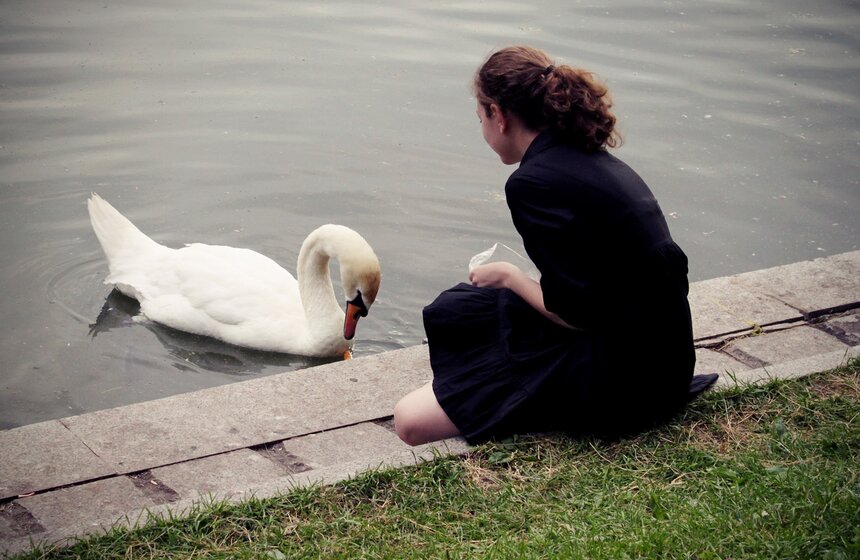 Появилась табличка "Запрещено разговаривать с незнакомцами" 9 фото
