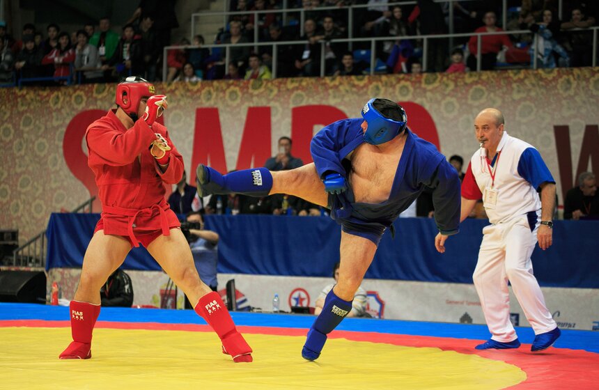 В "Лужниках" прошел Кубок мира по самбо 32 фото