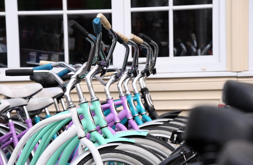 Парк "Сокольники" открыл пункты проката спортивного инвентаря 8 фото