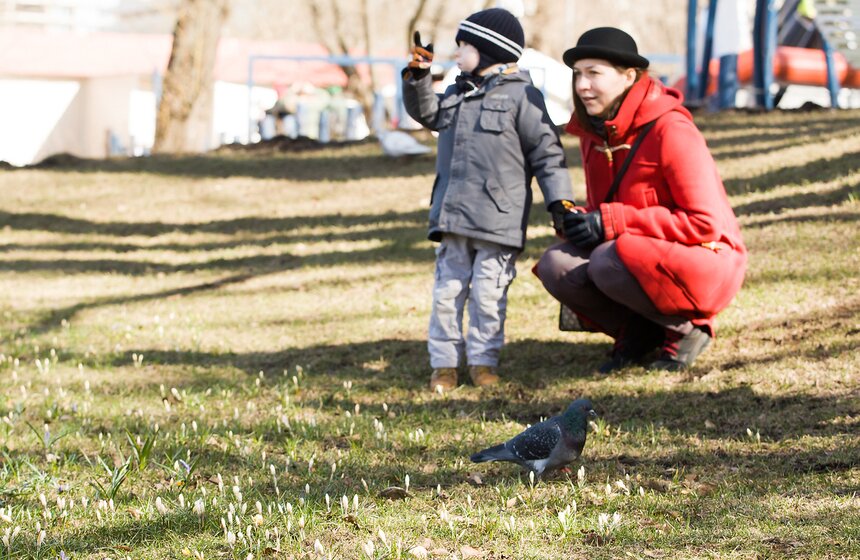 Первые цветы в городских парках 5 фото
