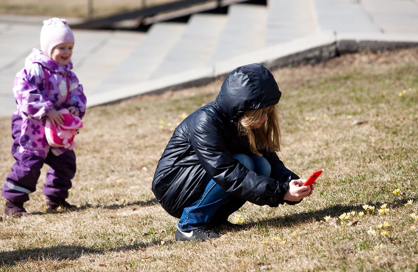 Первые цветы в городских парках 9 фото