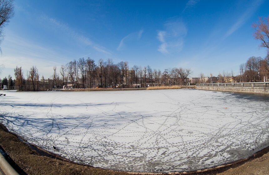 Первые цветы в городских парках 16 фото