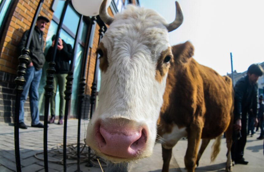 В столице открылся обновленный Москворецкий рынок 1 фото