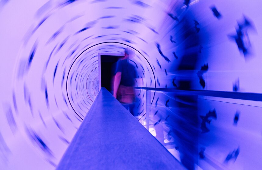 Открытие интерактивного музея человека "Живые системы" 26 фото