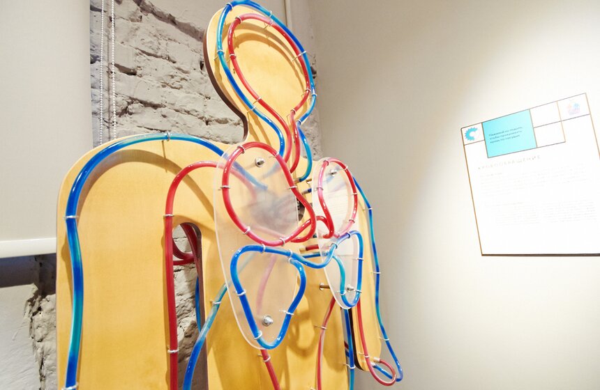 Открытие интерактивного музея человека "Живые системы" 27 фото