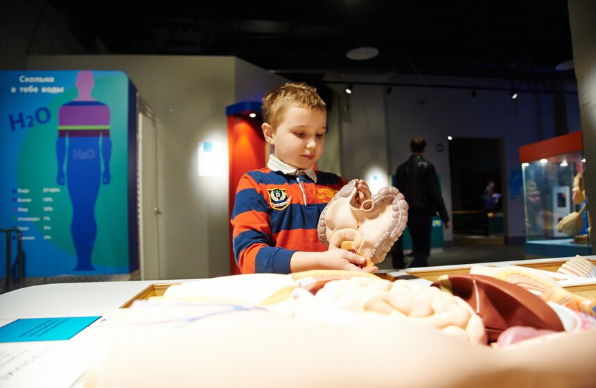 Открытие интерактивного музея человека "Живые системы" 4 фото