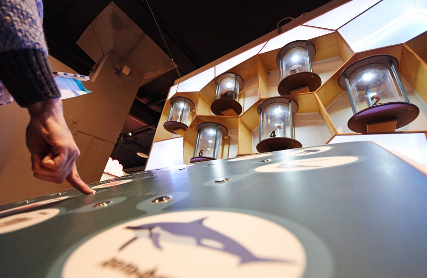 Открытие интерактивного музея человека "Живые системы" 8 фото