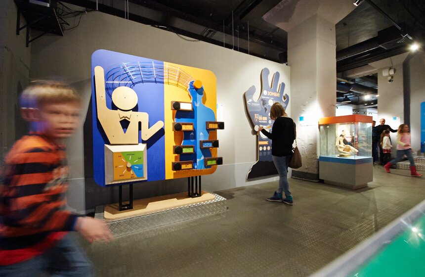 Открытие интерактивного музея человека "Живые системы" 13 фото