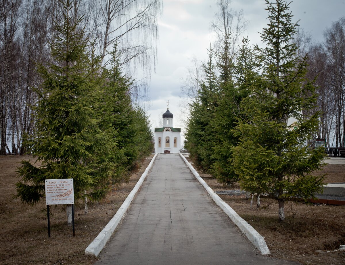 Госпиталь рогово луганской. Высота длинная мемориал.