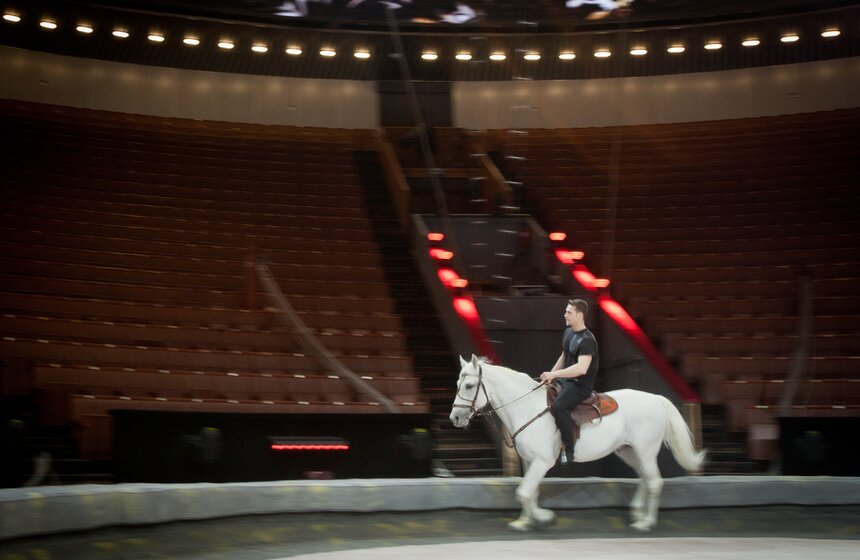 За кулисами Большого московского цирка 8 фото