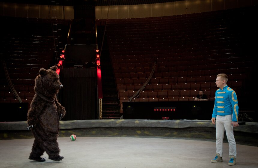 За кулисами Большого московского цирка 33 фото