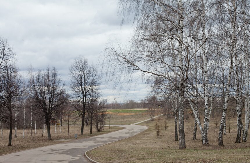 Аллея "Дорога жизни" расположена между улицей Исаковского и Строгинским шоссе. Здесь в 1941 году, как только фашисты были отброшены от Москвы, с 22 декабря 1941 года стали формировать первую автоколонну с продуктами для блокадного Ленинграда