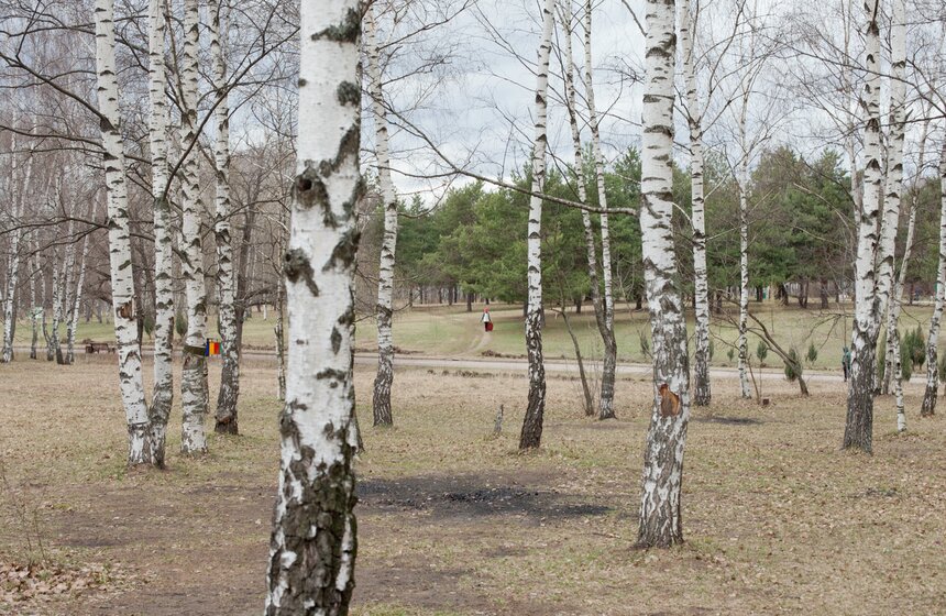 Аллея "Дорога жизни"