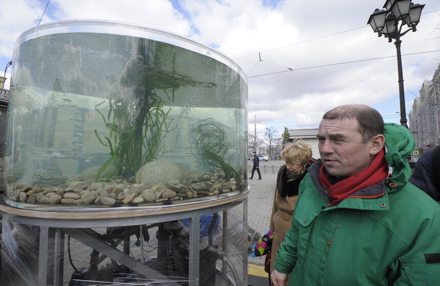 Гигантский аквариум и корабль: город украсили к "Рыбной неделе" 3 фото