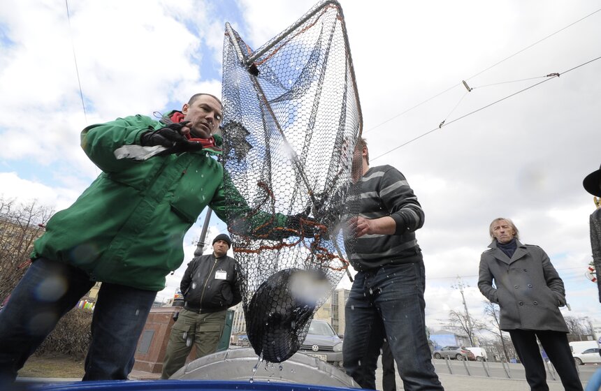 Гигантский аквариум и корабль: город украсили к "Рыбной неделе" 5 фото
