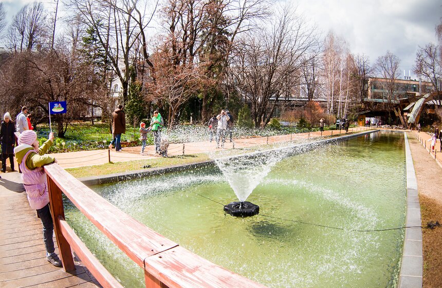 В "Аптекарском огороде" открыт весенний фестиваль цветов 23 фото