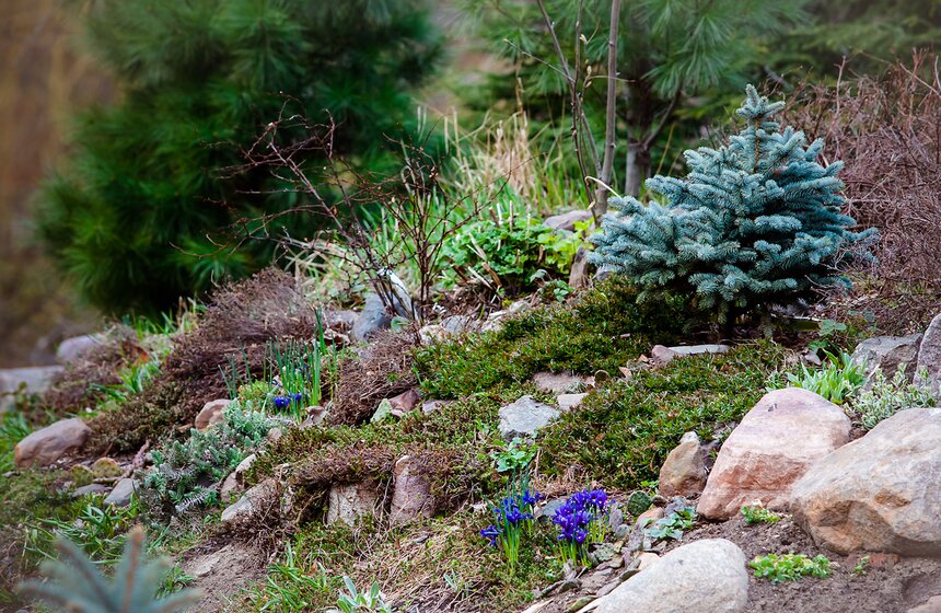 В "Аптекарском огороде" открыт весенний фестиваль цветов 8 фото