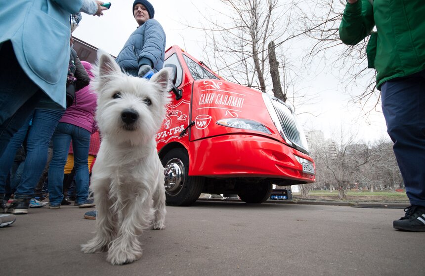 В Москве прошел первый городской фестиваль фудкортов 7 фото